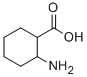 (+/-)2-AMINO-CYCLOHEXANECARBOXYLIC ACID Struktur