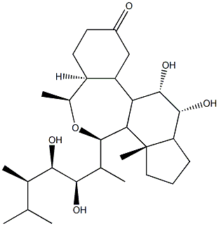 (22R,23R,24R)-2α,3α,22,23-テトラヒドロキシ-B-ホモ-7-オキサ-5α-エルゴスタン-6-オン