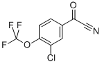 (3-CHLORO-4-TRIFLUOROMETHOXY-PHENYL)-OXO-ACETONITRILE Structure