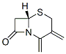 2,3-di-exo-methylencepham Struktur
