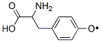 [4-(2-アミノ-2-カルボキシエチル)フェノキシ]ラジカル 化学構造式