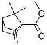 Bicyclo[2.2.1]heptane-1-carboxylic acid, 7,7-dimethyl-2-methylene-, methyl ester (9CI) Structure