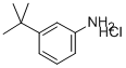 3-叔丁基苯胺 盐酸盐 结构式