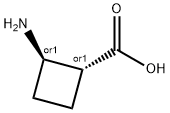 TRANS-2-アミノシクロブタン-1-カルボン酸 化学構造式