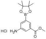 3-氨基-5-甲氧羰基苯基硼酸频哪醇酯盐酸盐, 850567-50-9, 结构式