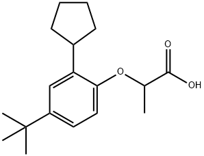 2-(2-シクロペンチル-4-tert-ブチルフェノキシ)プロピオン酸 化学構造式
