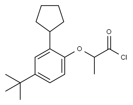 2-[2-cyclopentyl-4-(1,1-dimethylethyl)phenoxy]propionyl chloride Struktur