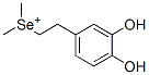 (2 (3,4-Dihydroxyphenyl)ethyl)dimethylselenonium Structure