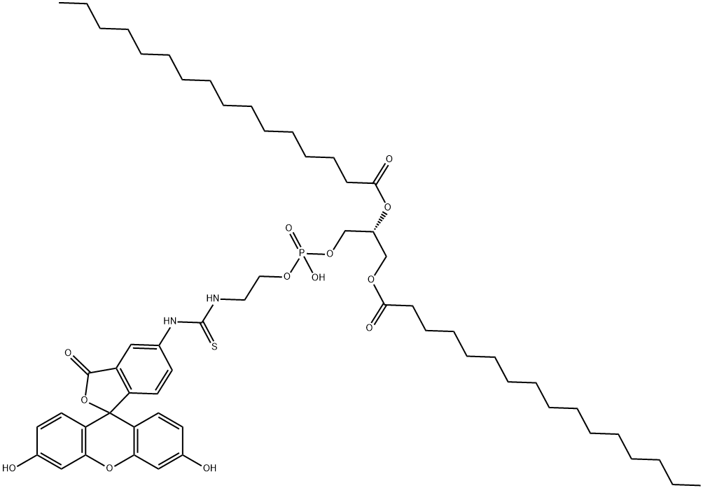 Fluorescein-DipalMitoylphosphatidylethanolaMine Structure