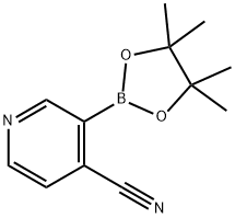 4-氰基吡啶-3-硼酸频哪醇酯 结构式