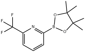 6-(TRIFLUOROMETHYL)PYRIDINE-2-BORONIC ACID PINACOL ESTER Structure