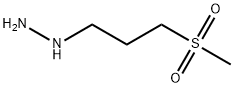 (3-METHYLSULFONYL-PROPYL)-HYDRAZINE Structure