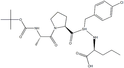 BOC-ALA-PRO-NVA-4-CHLORO-SBZL Structure