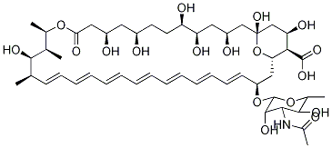 N-乙酰基两性霉素B 结构式