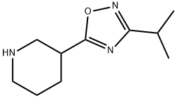 3-(3-异丙基-1,2,4-二唑-5-基)哌啶 结构式