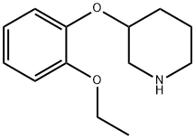 3-(4-ETHOXYPHENOXY)PIPERIDINE 结构式