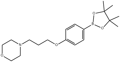 4-(3-(4-(4,4,5,5-tetramethyl-1,3,2-dioxaborolan-2-yl)phenoxy)propyl)morpholine Structure