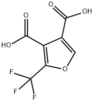 2-(trifluoromethyl)furan-3,4-dicarboxylic acid|2-(三氟甲基)呋喃-3,4-二羧酸