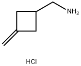 N-甲基-N-(3-亚甲基环丁基)胺 结构式