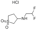 (2,2-Difluoro-ethyl)-(1,1-dioxo-tetrahydrothiophen-3-yl)-amine 结构式