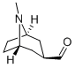 8-Azabicyclo[3.2.1]octane-3-carboxaldehyde, 8-methyl-, exo- (9CI) 结构式