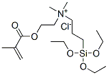 dimethyl[2-[(2-methyl-1-oxoallyl)oxy]ethyl][3-(triethoxysilyl)propyl]ammonium chloride Structure