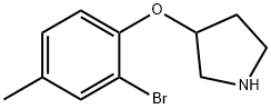 3-(2-BROMO-4-METHYLPHENOXY)PYRROLIDINE Structure