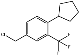 4-クロロメチル-1-シクロペンチル-2-トリフルオロメチルベンゼン 化学構造式