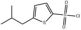 5-异丁基噻吩-2-磺酰氯, 958650-96-9, 结构式