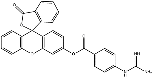 3'-(4-guanidinobenzoyloxy)spiro(isobenzofuran-1-(3H),9'-(9H)xanthen)-3-one Structure