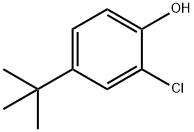 4-叔-丁基-2-氯苯酚 结构式