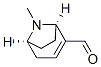 8-Azabicyclo[3.2.1]oct-2-ene-2-carboxaldehyde, 8-methyl-, (1R,5S)- (9CI) 结构式