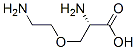 4-Oxalysine Struktur