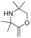 Morpholine,  3,3,5,5-tetramethyl-2-methylene- 结构式