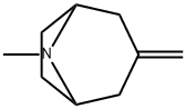8-Methyl-3-methylene-8-aza-bicyclo[3.2.1]octane 结构式
