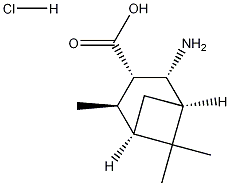 (1R,2R,3S,4R,5R)-2-AMINO-4,6,6-TRIMETHYLBICYCLO[3.1.1]HEPTANE-3-CARBOXYLIC ACID HYDROCHLORIDE Struktur