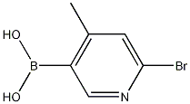 6-溴-4-甲基吡啶-3-硼酸 结构式