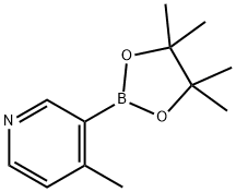 4-メチルピリジン-3-ボロン酸ピナコールエステル 化学構造式