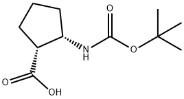 (1R,2S)-2-(BOC-アミノ)シクロペンタンカルボン酸 化学構造式