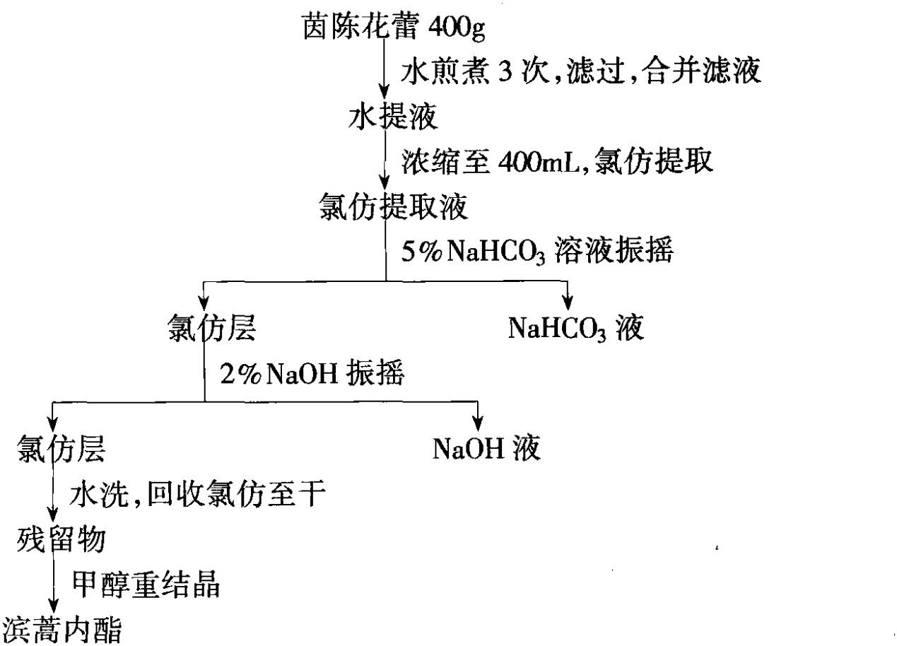 茵陈花蕾提取滨蒿内酯工艺流程图