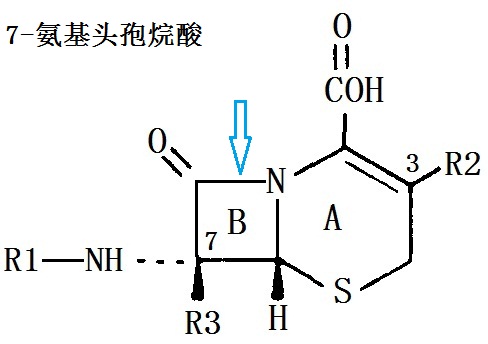 7-氨基头孢烷酸 化学结构