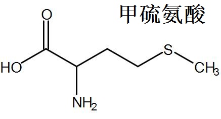 甲硫氨酸 结构式