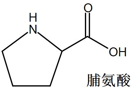 脯氨酸 结构式