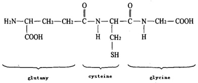 Ammonia sythesis