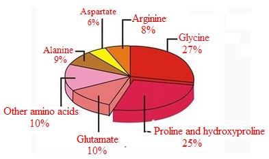Composition of collagen proteins