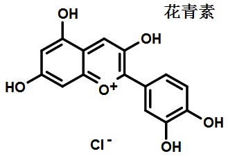 花青素的结构式