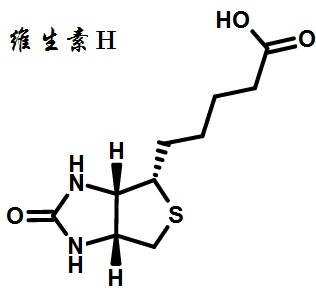 维生素H的结构式