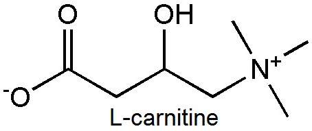 the structural formula of L-carnitine