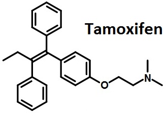 RÃ©sultat de recherche d'images pour "tamoxifen"