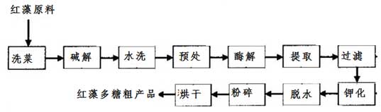 红藻多糖的加工流程图